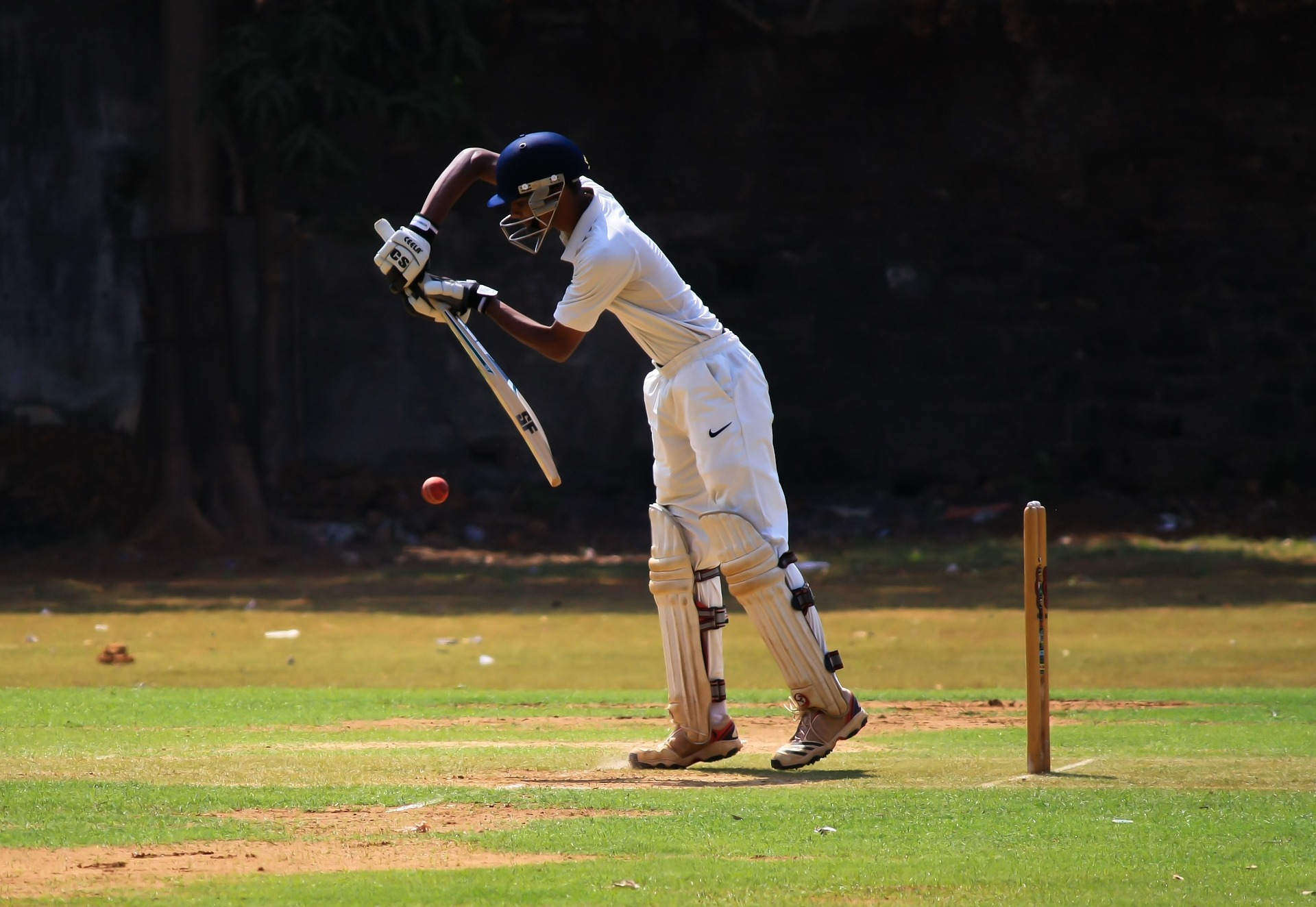 Predicting centuries in cricket